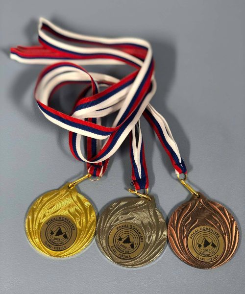 Prejsni_projekti-medalje3